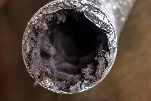 Best Affordable Duct Cleaning Services  in Napavine, WA